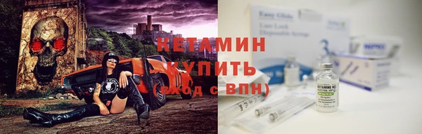 шишки Лабытнанги