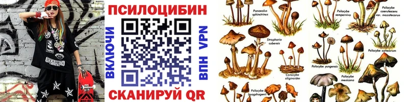 Псилоцибиновые грибы Psilocybine cubensis  Хилок 